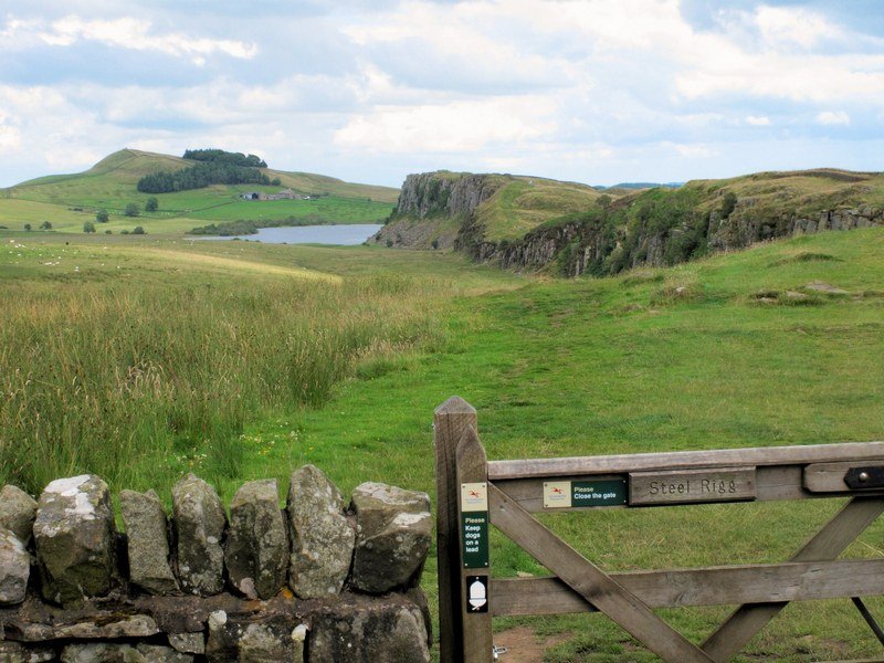 Steel Rigg