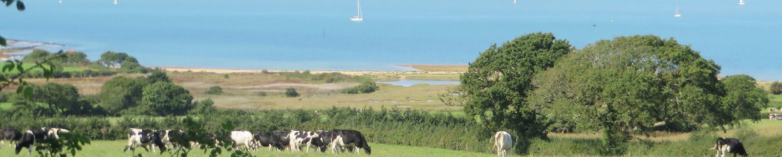 Walking The Isle Of Wight Coastal Path